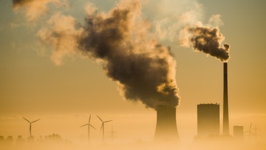 Kohlekraftwerk vor Windrädern | Bild: dpa-Bildfunk/Julian Stratenschulte