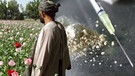 Mann steht neben Mohnfeld in Afghanistan, Heroin neben Spritze | Bild: Bilder: dpa; Montage: BR