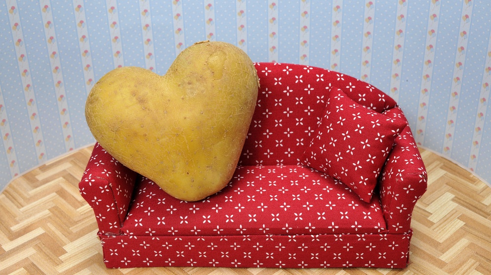 Couch-Potato, Kartoffel in Herzform auf einem roten Sofa, Couch Potato, heart-shaped potato on a ... | Bild: picture-alliance/dpa