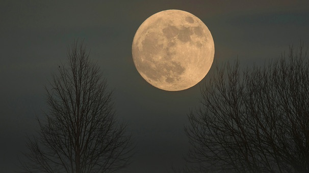 Der Mond mit bloßem Auge | Bild: picture-alliance/dpa