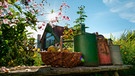 Für viele Menschen ist der Garten ein Ort der Erholung. Mit den eigenen Händen die Natur gestalten, Blumen zu hegen und zu pflegen, Gewächse aus aller Welt direkt vor der Haustür zu bewundern, das macht uns glücklich. | Bild: BR/nautilusfilm GmbH/NDR