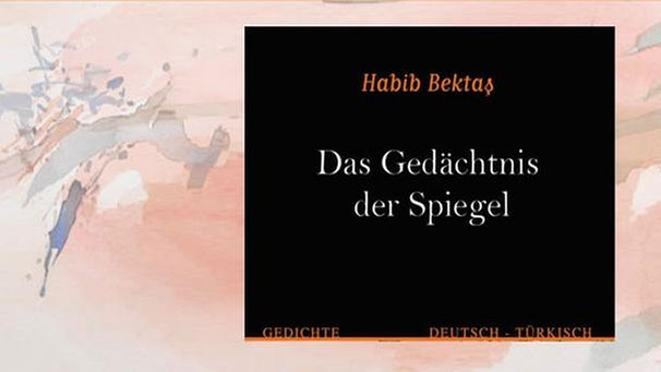 Buchcover "Das Gedächtnis der Spiegel" | Bild: Sardes Verlag
