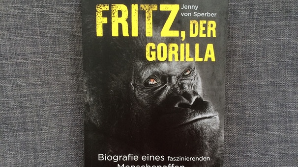 Buchcover "Fritz, der Gorilla" von Jenny von Sperber | Bild: BR / Dirk Kruse