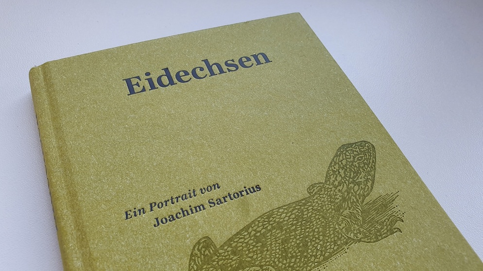 Buch Eidechsen von Joachim Sartorius | Bild: BR-Studio Franken/Vera Held