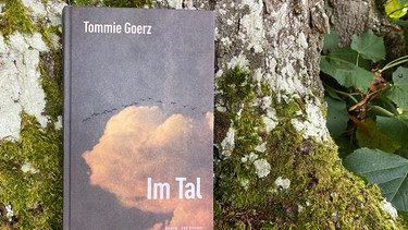 Cover von Buch "Im Tal" von Tommie Goerz | Bild: BR / Julia Hofmann
