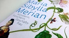 Buchcover: Biografie über Maria Sibylla Merian | Bild: Insel Verlag; Bild: BR-Studio Franken