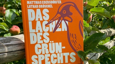 Buchtipp von Matthias Egersdörfer und Lothar Gröschel: Das Lächeln des Grünspechts | Bild: BR / Julia Hofmann