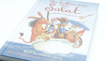Buchcover von Rolf-Bernhard Essig, "Da haben wir den Salat" | Bild: Hanser Verlag | Foto: BR-Studio Franken