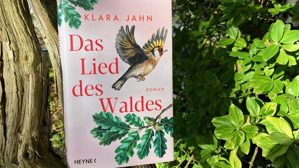Buchcover Klara Jahn: "Das Lied des Waldes" | Bild: BR / Dirk Kruse