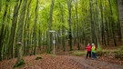 Zwei Freuen betrachten einen Wanderwegweise in einem Wald | Bild: TV e.V. RL/BoW/Thomas Bichler