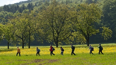 Eine Gruppe Wanderer geht über eine Wiese | Bild: Landratsamt Bamberg, A. Hub