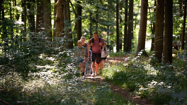 Eine Familie wandert durch einen Wald | Bild: Michael Koch