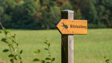 Wegweiser zum Mittelwaldweg | Bild: Miachel Koch