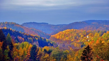 Noch dominiert der Herbst mit seinen Farben - Blick ins Weißmaintal bei Bad Berneck im Fichtelgebirge  | Bild: Willi Hornung, Fichtelberg, 05.11.2018