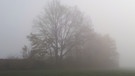 Nebel auf der Hohen Warte bei Minusgraden. | Bild: Uwe Fößel, Bayreuth, 05.11.2020
