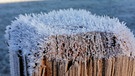 Der erste Frost in Lauf. | Bild: Markus Bröer, Lauf a.d.Pegnitz, 09.11.2020