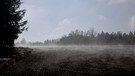 Nebel-Stimmung.
| Bild: Liane Mohringer, Hof, 09.11.2020