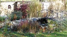 Blick in einen romantischen Herbstgarten in Waischenfeld. | Bild: Heidemarie Lehmann, Altenkunstadt, 12.11.2020