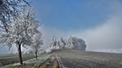 Frostig kühler Morgen mit einem Rest Nebel in der Nähe von Auernheim.
| Bild: Vera Trescher, Treuchtlingen, 02.12.2020