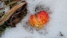 Dieses Tiefkühlapfel-Herz hat mir bei meiner Nachmittagsrunde ein Lächeln ins Gesicht gezaubert.
| Bild: Sabine Friede, Neuhaus an der Pegnitz, 08.12.2020