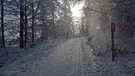 Winter. | Bild: Lothar Hofmann, Marktredwitz, 14.01.2021
