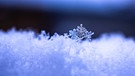 Eine kleine Schneeflocke kurz vor dem Schmelzen. Ich habe sie auf meinem Autodach in Waigolshausen entdeckt. | Bild: Julia Zimmermann, Waigolshausen, 18.01.2021