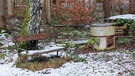 Bitte Platz nehmen, es wird gleich angerichtet. Frisch aus dem Kessel. Im Wald bei Oberstrahlbach (Neustadt a.d. Aisch) gefunden.
| Bild: Erich Werner, Neustadt a.d. Aisch, 21.01.2021