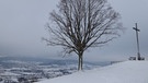 Blick vom verschneiten Walberla auf das Wiesent-Tal (Fränkische Schweiz) | Bild: Norbert Haselbauer, Kirchehrenbach, 26.01.2021