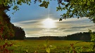 In einer Wolkenlücke konnte man heute Morgen die aufsteigende Sonne bei Velden sehen. Vom Waldrand aufgenommen. | Bild: Gisela Lindemann, Neuhaus (Pegnitz), 07.10.2021