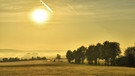 Wenn die Morgensonne wie hier bei Karm (HIP) gelb-grüne Töne zaubert. | Bild: Herbert Bauer, Feucht, 15.10.2021