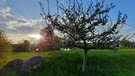 Abendsonne über Weißenstadt - die Bäume blühen auf und der Frühling ist endlich da. | Bild: Thomas Kern, Weißenstadt, 16.05.2023
