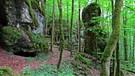Im Felsenlabyrinth bei Sackdilling, bei einer Wanderung. | Bild: Karl Schwarz, Schwabach, 27.05.2023