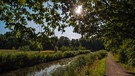 Am alten Kanal in Röthenbach bei St. Wolfgang. Guten Morgen! | Bild: Wolfgang Hahn, Röthenbach b. St. Wolfgang, 18.07.2023