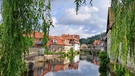 Immer wieder schön: Kronach und der Blick auf den Fluss. | Bild: Ulrike Reimann, Steinwiesen, 20.07.2023