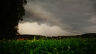 Sturmböen und Regenwolken. Wetterbild aufgenommen bei Hohnhausen, Burgpreppach im Kreis Haßberge. | Bild: Willi Dressel, Ebern, Ortsteil Bischwind a.R., 05.10.2023