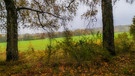 Herbstwetter in der Au, Bad Kissingen. | Bild: Horst Bertzky, Bad Kissingen, 28.10.2023