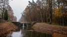 7:30 Uhr Am alten Kanal in Röthenbach b.St.Wolfgang. | Bild: Wolfgang Hahn, Röthenbach b.St.Wolfgang, 18.11.2023