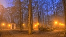 Morgennebel samstags um 7 Uhr im Eichenhain in Feucht - außer dem Fotografen ist niemand zu sehen. | Bild: Herbert Bauer, Feucht, 18.11.2023