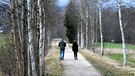 Spaziergänger am Radweg in Tröstau, statt Schnee gibt es weiße Birken. | Bild: Günter Lorke, Tröstau, 28.12.2023