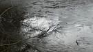 Tauwetter - das Eis schmilzt. | Bild: Günter Lorke, Tröstau, 27.01.2024