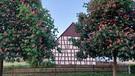 Rotblühende Kastanien mit fränkischen Fachwerk und Bauerngarten! Schön ist es in der fränkischen Heimat! | Bild: Max Bogendörfer, Unterpreppach, 15.05.2024