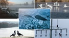 Collage von Bildern unserer Wetterfotografen | Bild: Ralph Goppelt, Heinrich Schmidt, Karl Schönherr, Erich Kraus, Thomas Geiger
