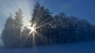 Auf der Jurahochfläche liegt noch etwas Schnee,aber die immer stärker werdende Sonne zeigt uns,dass der Frühling nicht mehr weit ist.
Nur ein kurzer Augenblick im Nebelgrau. | Bild: Helmut Gruber, 91781 Weißenburg, 09.02.2018