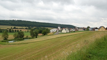 Ansicht des Rauhenebracher Gemeindeteils Wustviel | Bild: BR-Mainfranken/Norbert Steiche