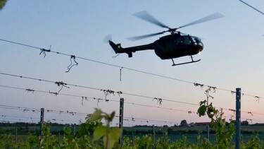 Hubschrauber im Einsatz gegen Frost in den Weinbergen | Bild: picture-alliance/dpa