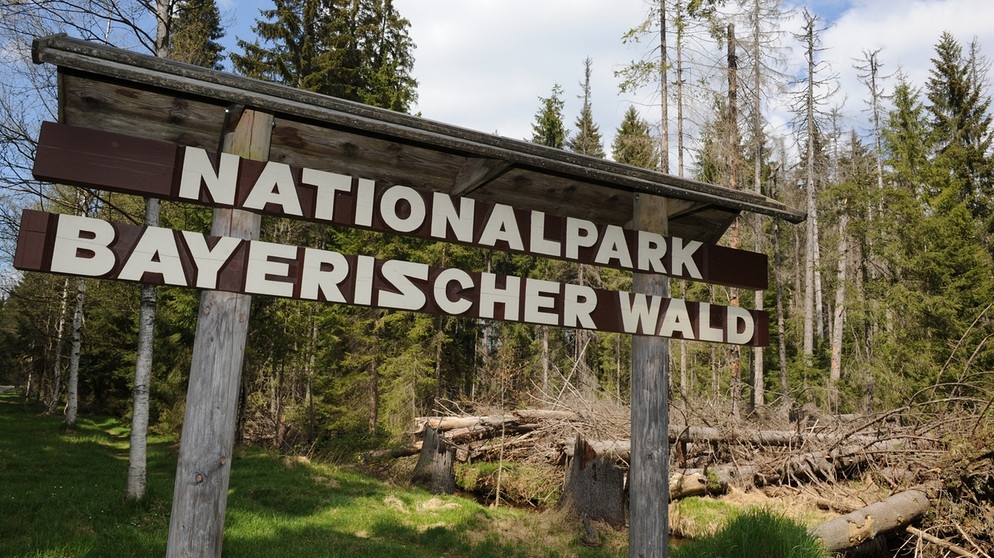 Schild Nationalpark Bayerischer Wald | Bild: picture-alliance/dpa