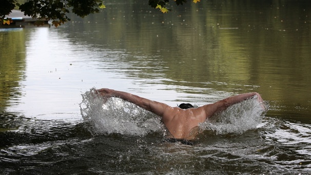 Ein Mann schwimmt in der Regnitz bei Bamberg | Bild: picture-alliance/dpa
