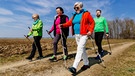 Fitness: Walkinggruppe läuft übers Feld | Bild: BR/Sylvia Bentele