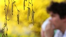 Blüten am Baum, die Pollen verwehen. Pollen können bei Allergikern Heuschnupfen auslösen. | Bild: picture-alliance/dpa
