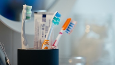 Zahnbürsten im Bad für die Zahnpflege  | Bild: BR/Julia Müller